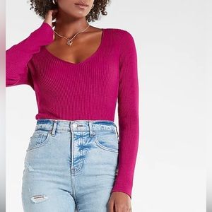 Express Long Sleeve Purple Fitted Shirt NWT